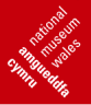 Wales Meseum logo