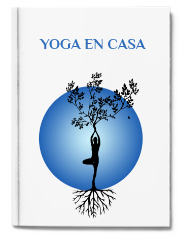 Ver ebook de muestra