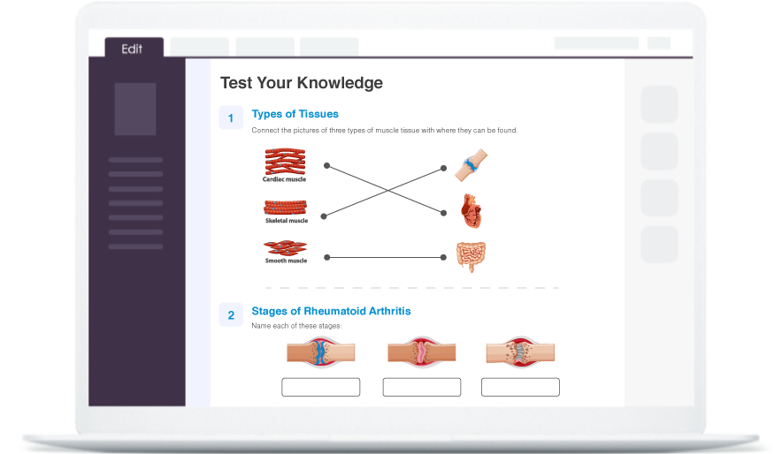 Preguntas y evaluaciones interactivas