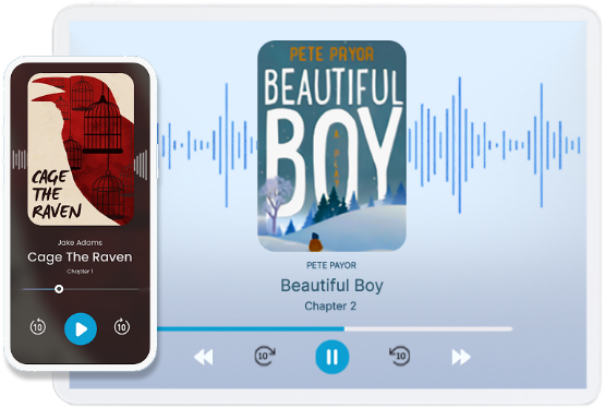 Audiobook Integration
